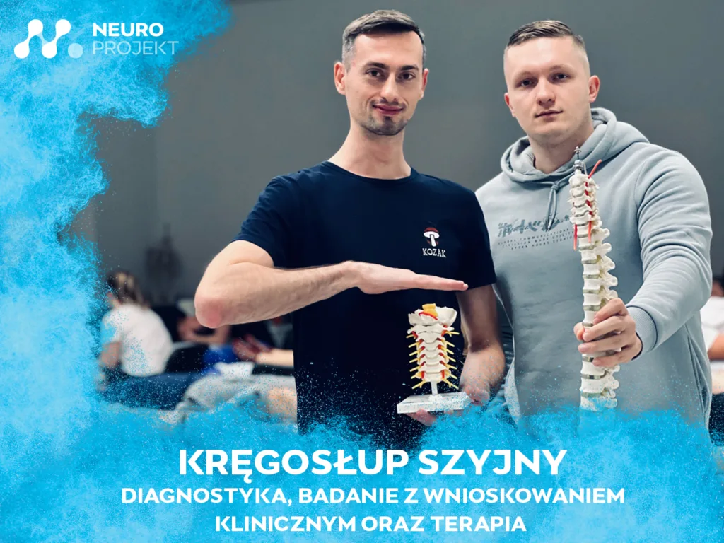 Kręgosłup Szyjny – Diagnostyka, Badanie oraz Terapia