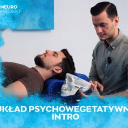 Układ Psychowegetatywny Intro